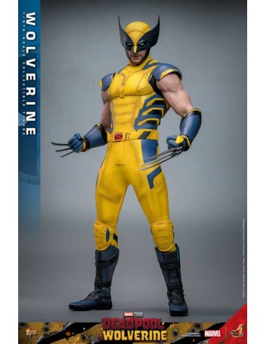 Wolverine 1/6. Movie Masterpiece....