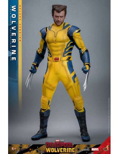 Wolverine (Deluxe Version) 1/6. Movie...