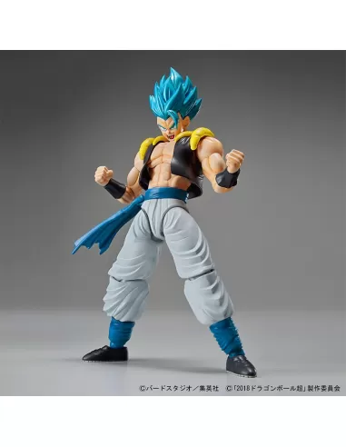 Super Saiyan God Super Saiyan Gogeta....