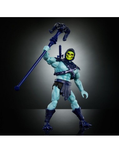 Skeletor. Masterverse Vintage...