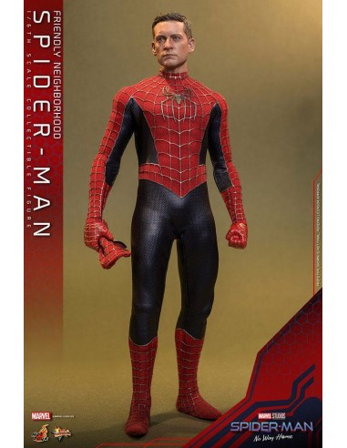 Friendly Neighborhood Spider-Man 1/6....