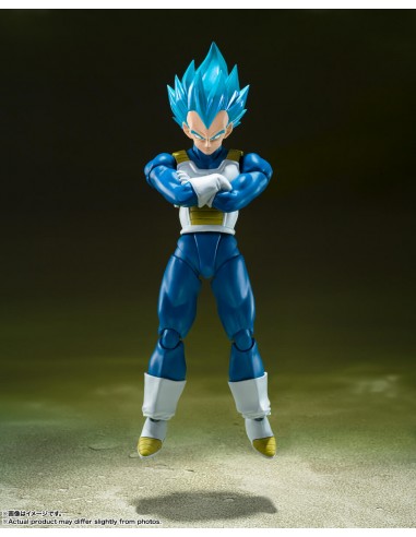 Super Saiyan God Super Saiyan Vegeta...