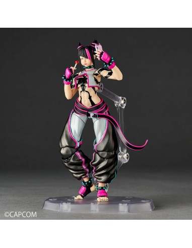 Juli. Revoltech A.Y. Street Fighter