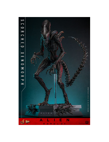 Scorched Xenomorph 1/6. Movie...