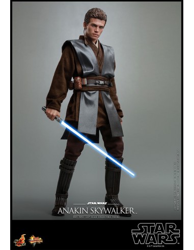 Anakin Skywalker. Movie Master Piece...